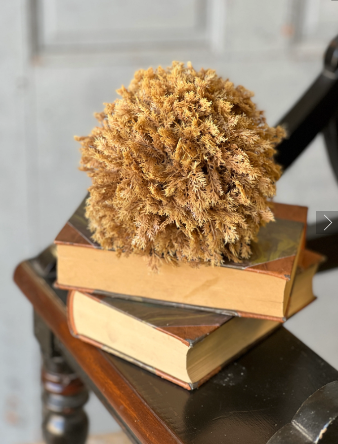 Sungold Half Sphere | 6